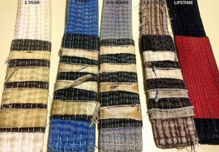 A Roadmap for Progression through the BJJ Belt System