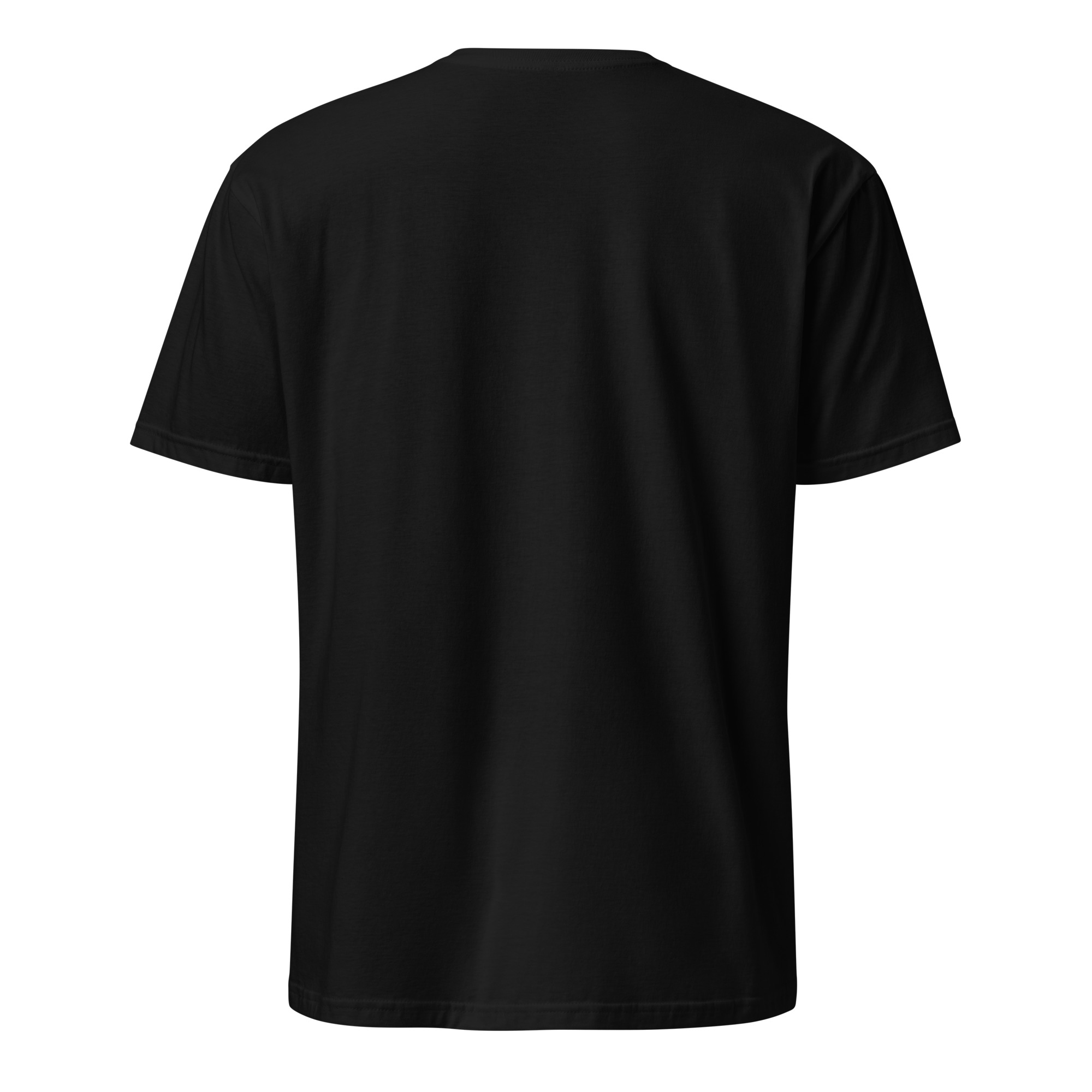 BJJ Instructor T-Shirt (unisex) - Image 5