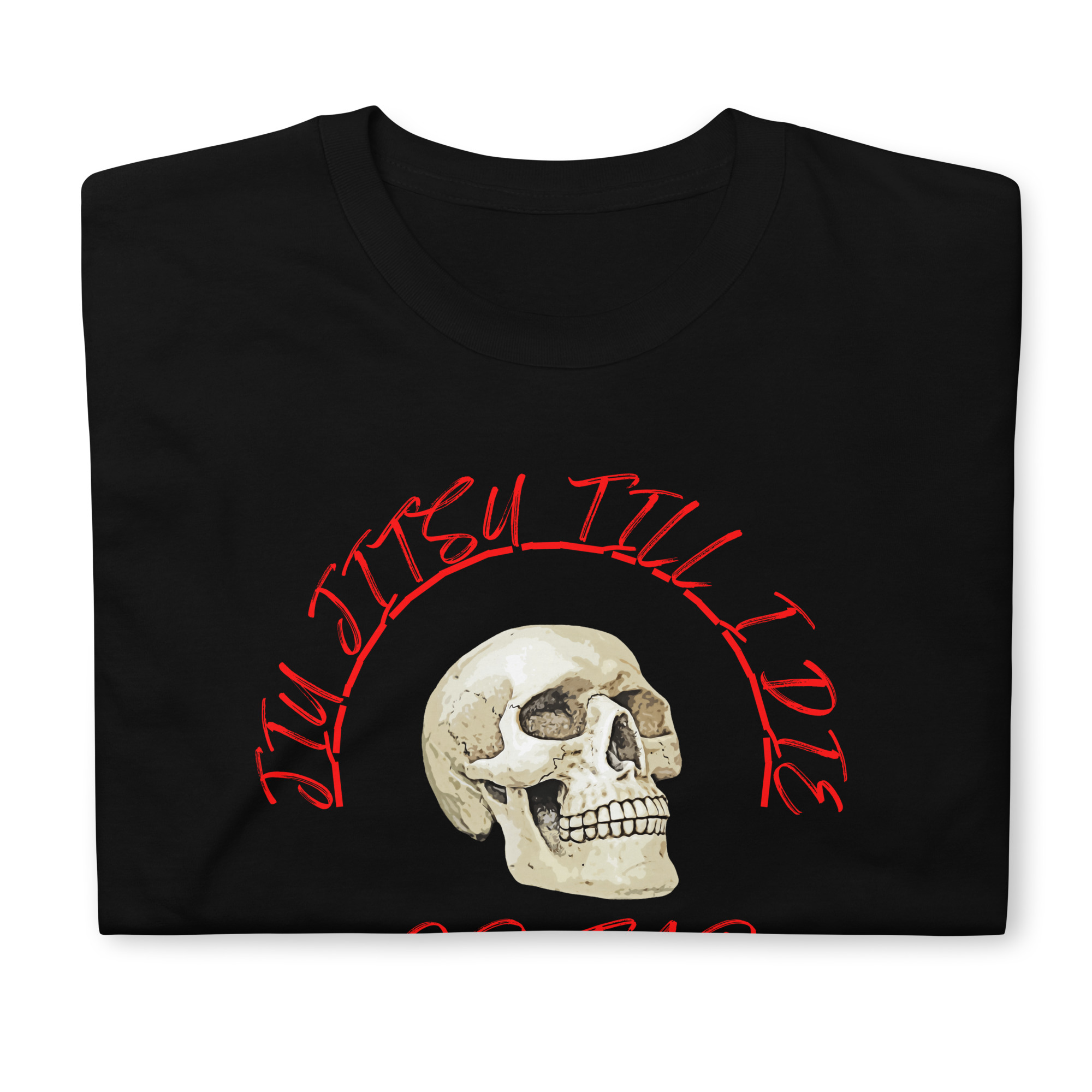 Jiu Jitsu Till I Die T-Shirt (unisex) - Image 6