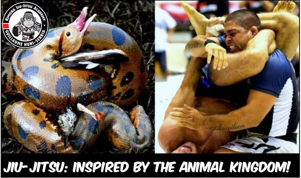 Top 5 Best Grapplers of the Animal Kingdom