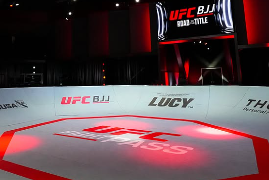 UFC BJJ