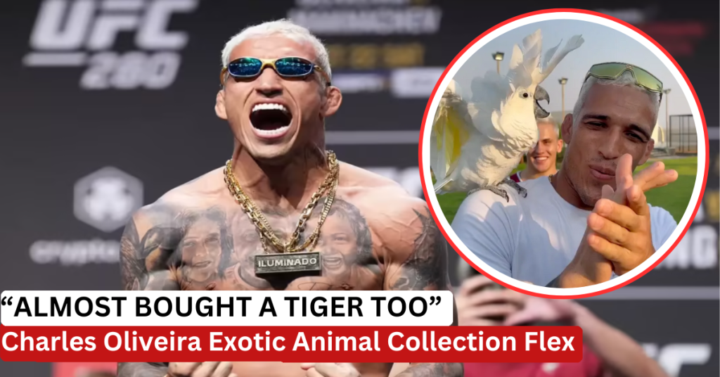 Charles Oliveira Bird Collection Includes $80K in Exotic Parrots - And Nearly a Tiger